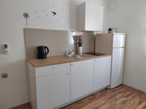 Apartment Eva